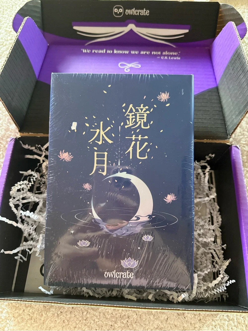 Owlcrate 🌙 water